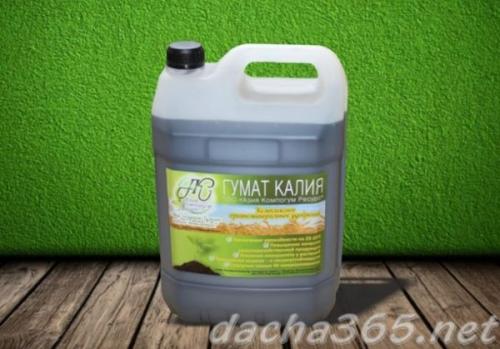 Подкормка ремонтантной малины ранней весной. Когда удобрять малину весной: оптимальные сроки и схема