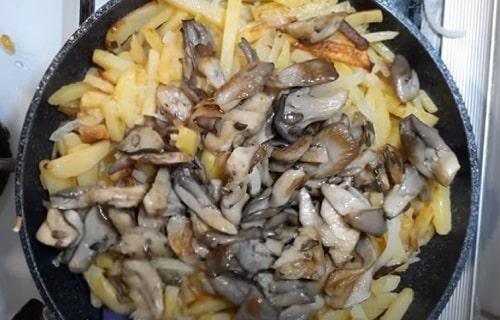 Сколько жарить вешенки с картошкой. Жареная картошка с вешенками на сковороде – рецепты с луком, сметаной, мясом