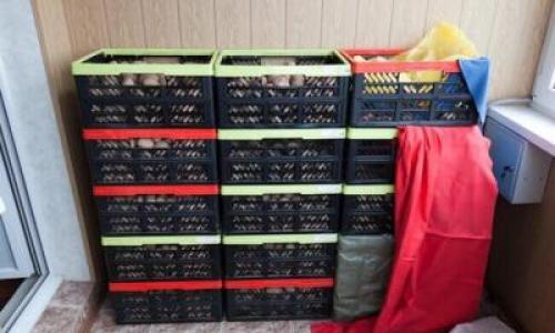 Как хранить картошку в квартире без балкона. Идеи, где лучше держать картофель дома