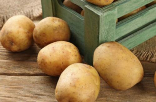 Мыть ли картофель перед хранением или нет. Мыть ли картофель перед хранением. За и против 02