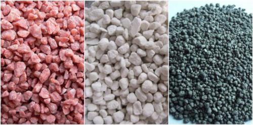 Где сажать чеснок в тени или на солнце. Чеснок любит тень или солнце? 01