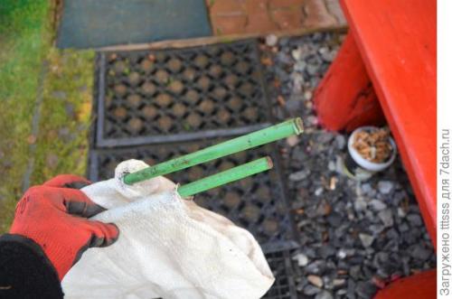 Как избежать повреждений укрытия роз на зиму от снега и ветра. Защита роз от тяжёлого снега