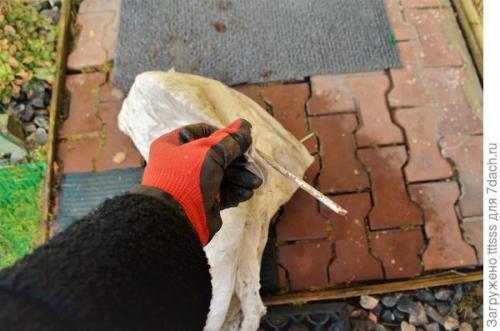 Как избежать повреждений укрытия роз на зиму от снега и ветра. Защита роз от тяжёлого снега