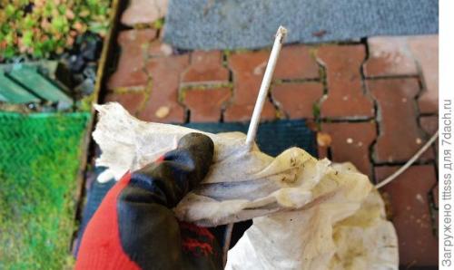 Как избежать повреждений укрытия роз на зиму от снега и ветра. Защита роз от тяжёлого снега