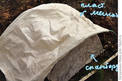 Какие материалы используются для укрытия роз на зиму в Подмосковье