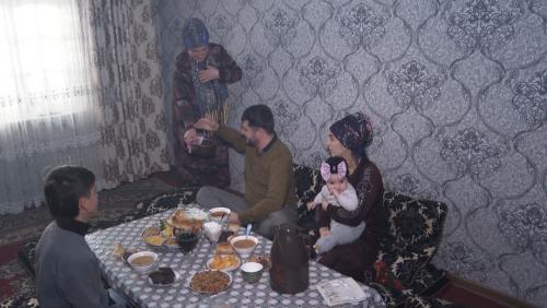 Дахц трава, что это. Трава от тысячи болезней