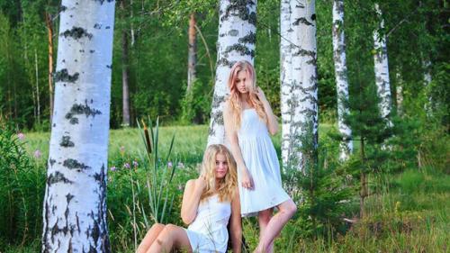 Почему нельзя рубить березу на участке. Почему нельзя сажать березу возле дома