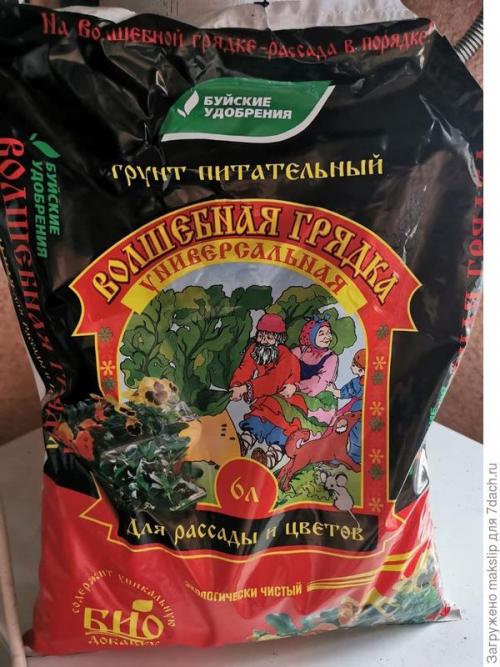 Можно ли выращивать лук в воде на открытом воздухе