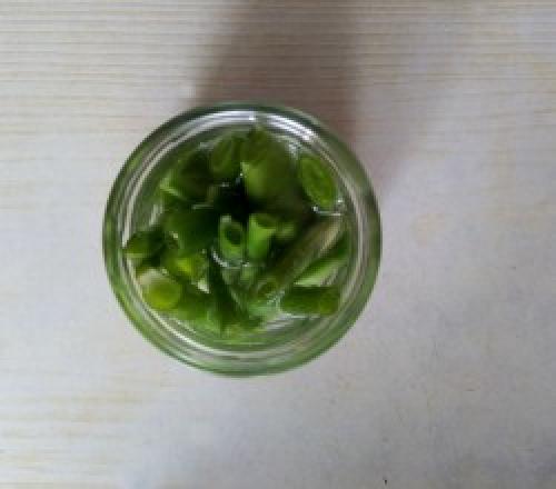 Стручковая фасоль с чесноком на зиму. Рецепт 2: маринованная спаржевая фасоль на зиму