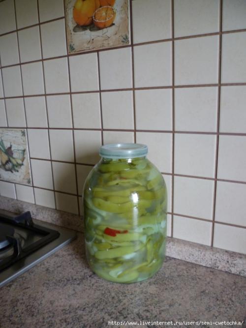 Квашеная турша на зиму. — Статистика