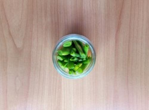 Стручковая фасоль с чесноком на зиму. Рецепт 2: маринованная спаржевая фасоль на зиму