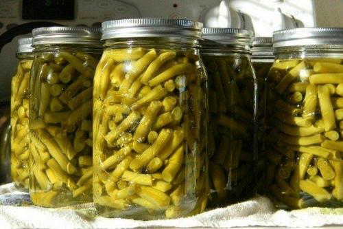 Жареная стручковая фасоль. 15 способов, как приготовить вкусную стручковую фасоль