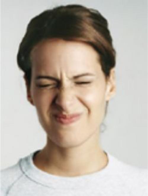 Как обеспечить оптимальное увлажнение стевии