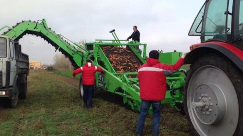 Какие инструменты необходимы для уборки моркови. Классификация комбайнов для уборки моркови