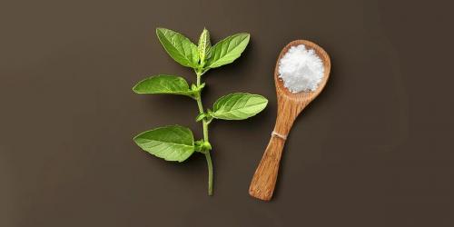 Как обеспечить оптимальное увлажнение стевии