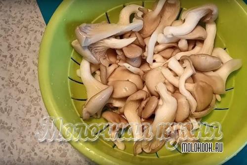 Нужно ли варить лесные вешенки перед жаркой. Вкусные жареные вешенки — простое и быстрое блюдо на каждый день