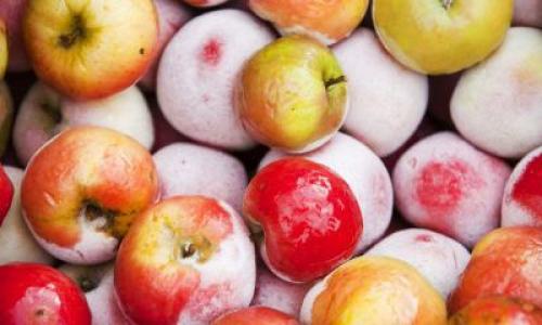 Как хранить яблоки в гараже. Яблоки