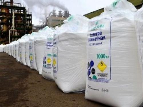 Когда сеют семена лука-севка. Посадка лука-севка весной 05