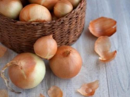 Когда сеют семена лука-севка. Посадка лука-севка весной 06