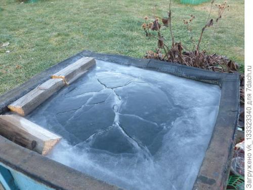 Как укрыть розы, выращенные в парниках. Зимние укрытия в цветнике - секретов нет, но появился опыт