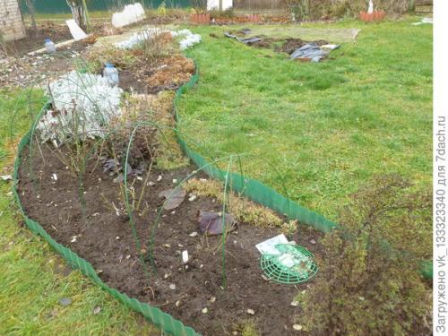 Как укрыть розы, выращенные в парниках. Зимние укрытия в цветнике - секретов нет, но появился опыт