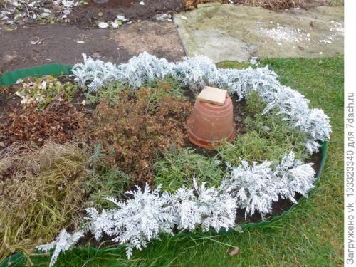 Как укрыть розы, выращенные в парниках. Зимние укрытия в цветнике - секретов нет, но появился опыт