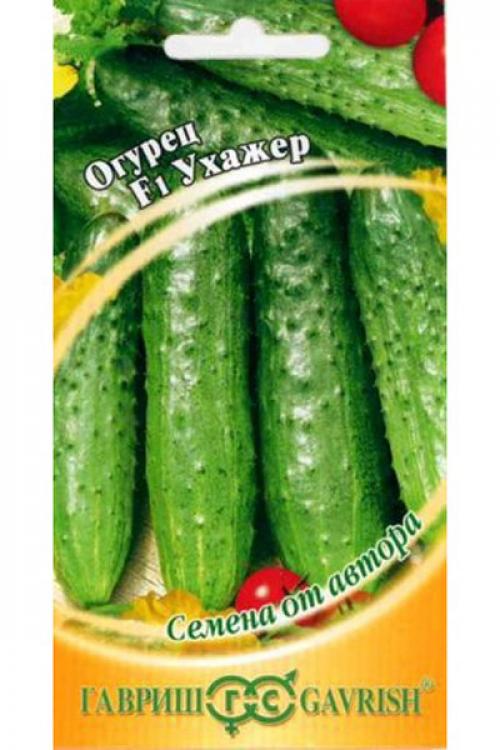 Как выбрать идеальные сорта огурцов для вашего дома 01