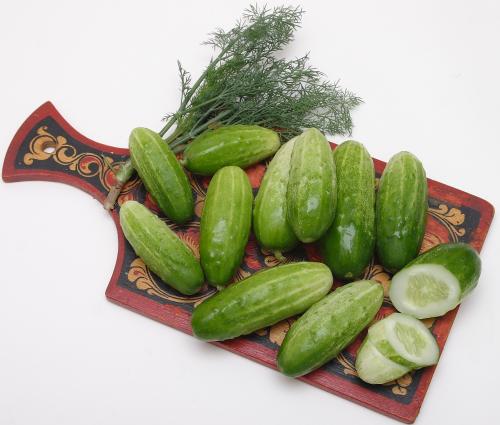 Какие сорта кустовых огурцов наиболее популярны среди садоводов. Характеристика, каких размеров достигают плоды