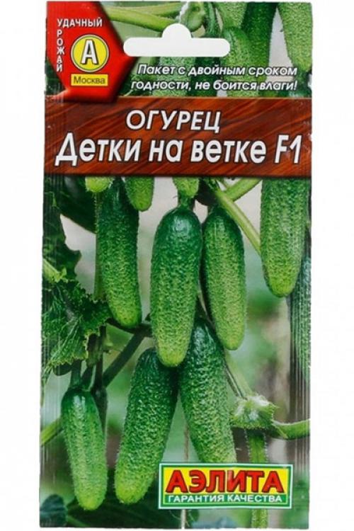 Выбор сортов огурцов для открытого грунта: основные критерии 07