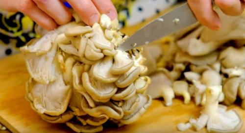 Как приготовить грибы вешенки на зиму. Быстрый рецепт маринованных вешенок в домашних условиях