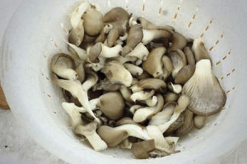 Как жарить вешенки с луком. Вешенки жареные с луком рецепт