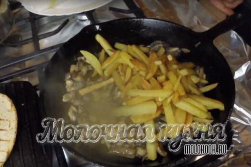 Как приготовить вешенки в кляре. Как вкусно пожарить вешенки с картошкой – поэтапный рецепт с фотографиями