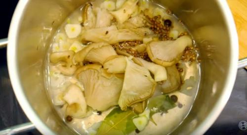 Как приготовить грибы вешенки на зиму. Быстрый рецепт маринованных вешенок в домашних условиях