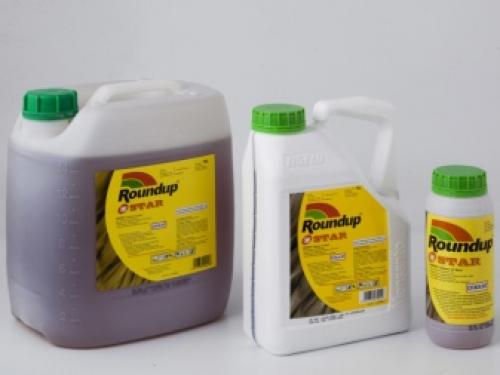 Почему засыхают деревья в саду. Добавление статьи в новую подборку 01 Почему засыхают деревья в саду. Добавление статьи в новую подборку 01