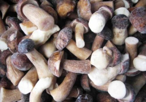 Сколько жарить белые грибы без варки. Сколько жарить белые грибы