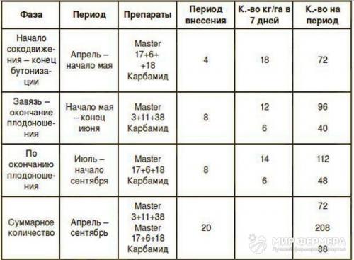 Калийно фосфорные удобрения для клубники. Схема подкормки 04