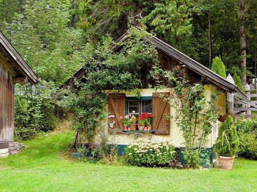 Как спасти яблоню от засыхания в период плодоношения. Плодовая гниль — монилиоз яблони 05