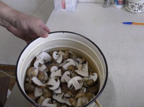 Какие грибы на тополях можно мариновать. Подтопольники маринованные на зиму. Рецепты засолки и маринования грибов