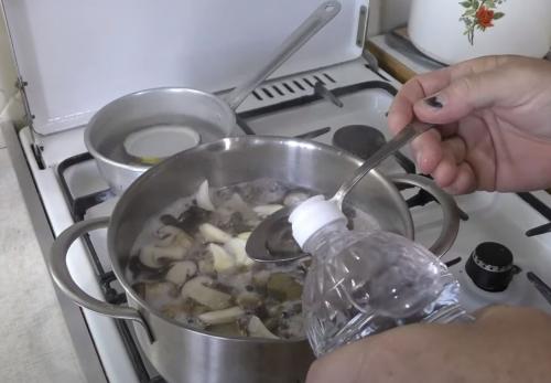 Какие грибы на тополях можно мариновать. Подтопольники маринованные на зиму. Рецепты засолки и маринования грибов