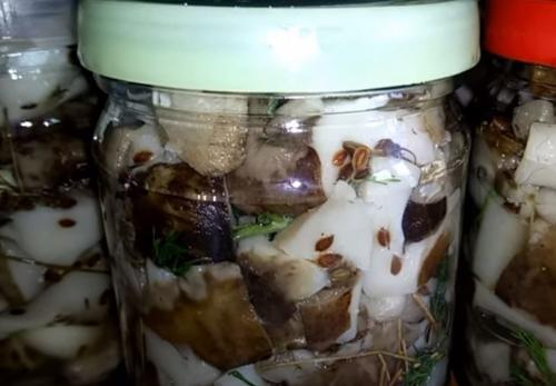 Какие грибы на тополях можно мариновать. Подтопольники маринованные на зиму. Рецепты засолки и маринования грибов