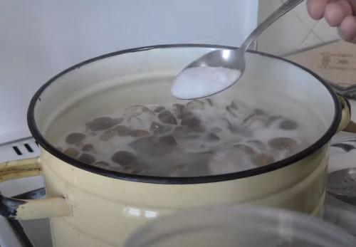 Какие грибы на тополях можно мариновать. Подтопольники маринованные на зиму. Рецепты засолки и маринования грибов