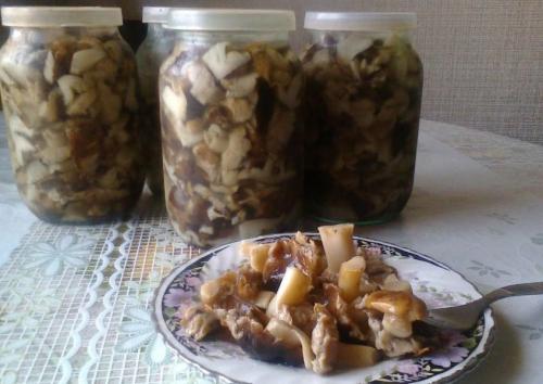 Какие грибы на тополях можно мариновать. Подтопольники маринованные на зиму. Рецепты засолки и маринования грибов