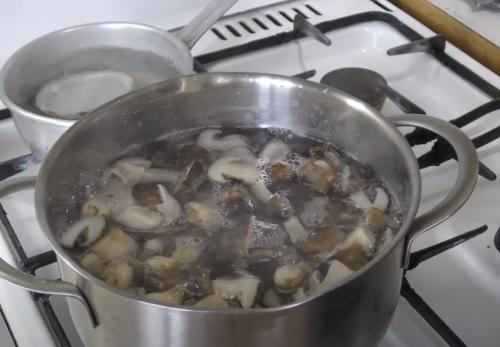 Какие грибы на тополях можно мариновать. Подтопольники маринованные на зиму. Рецепты засолки и маринования грибов