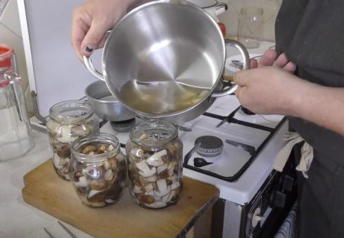 Какие грибы на тополях можно мариновать. Подтопольники маринованные на зиму. Рецепты засолки и маринования грибов