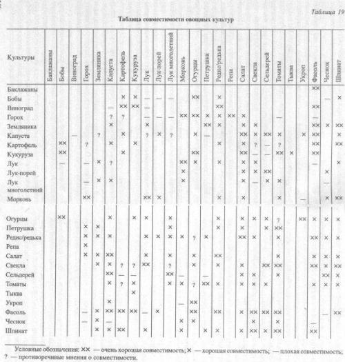 Что можно посадить в теплице вместе с перцем. Какие культуры можно выращивать вместе?