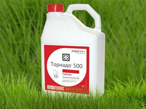 Как избавиться от поросли яблони. Удаление поросли деревьев на участке химическим способом