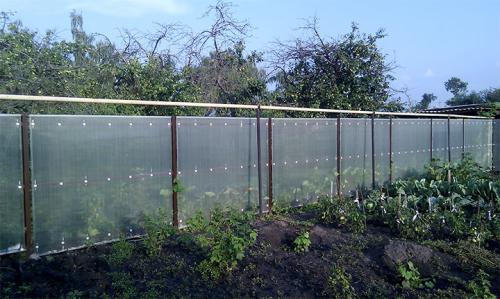 Забор из поликарбоната на даче. Строительство ограждения из поликарбоната для дачного участка