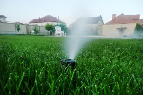 Капельный полив для дачи своими руками. Капельный полив: капельницы, спринклеры, микроразбрызгиватели