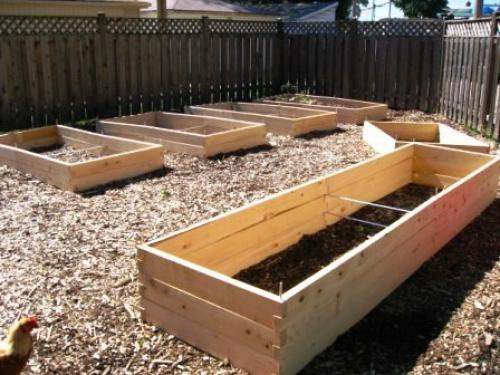 Как выбрать идеальные высокие грядки для клубники 02 Как выбрать идеальные высокие грядки для клубники 02