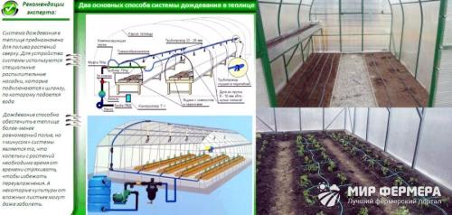 Как сделать систему капельного полива своими руками. Система капельного полива своими руками 01